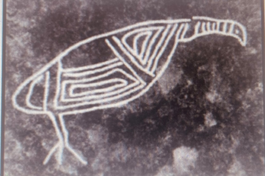 A black and white image of an Indigenous engraving showing a turkey made out of intricate lines