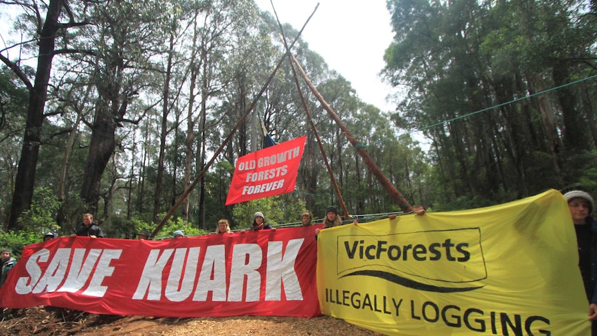 Forest campaigners hold a banner calling for the protection of the Kuark Forest in East Gippsland.