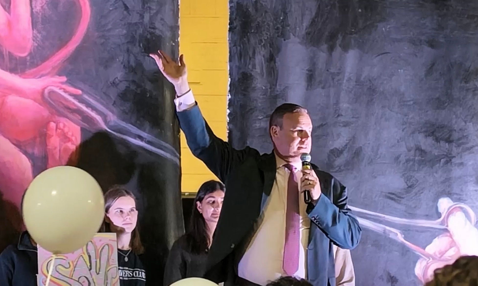 NSW One Nation leader vows to fight for abortion controls