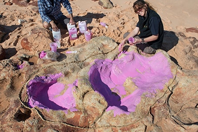 Palaeontologists studying a dinosaur footprint