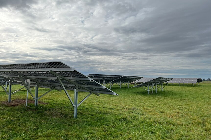Solar panels installed on metal poles face a cloudy sky among a green farm paddock.