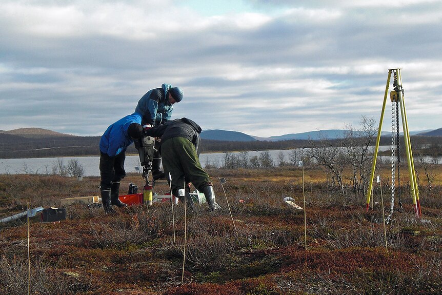 Researchers collecting peat cores