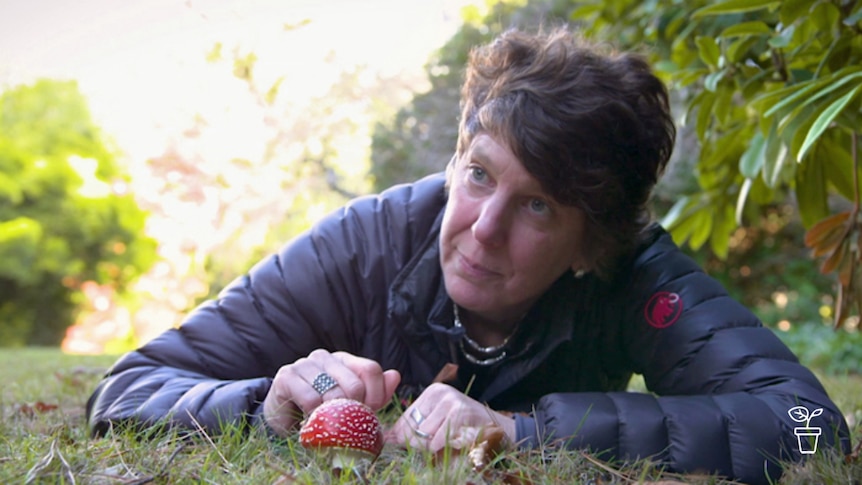 Woman lying on ground pointing to a red-topped fungi