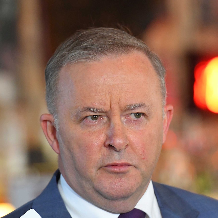 Anthony Albanese speaks to reporters in a pub.