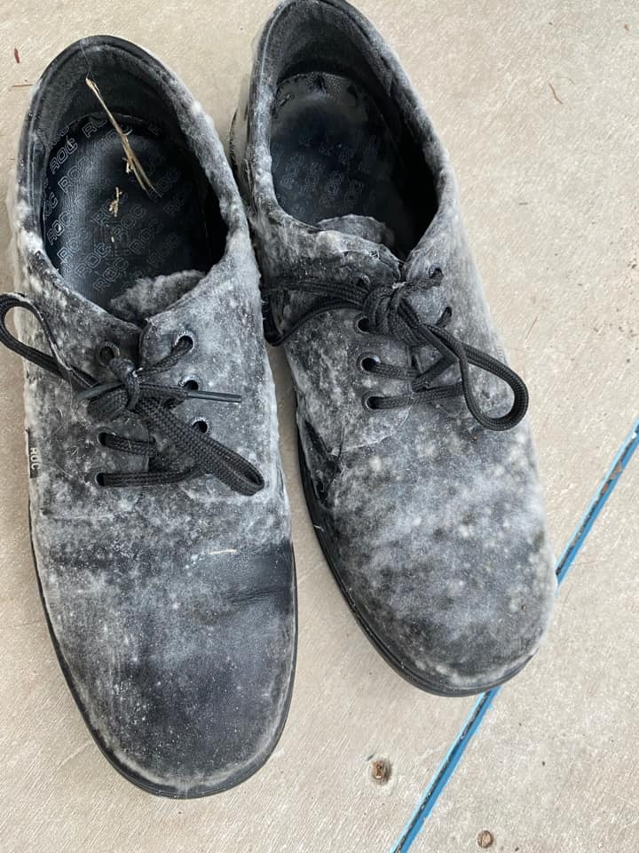Mouldy black school shoes