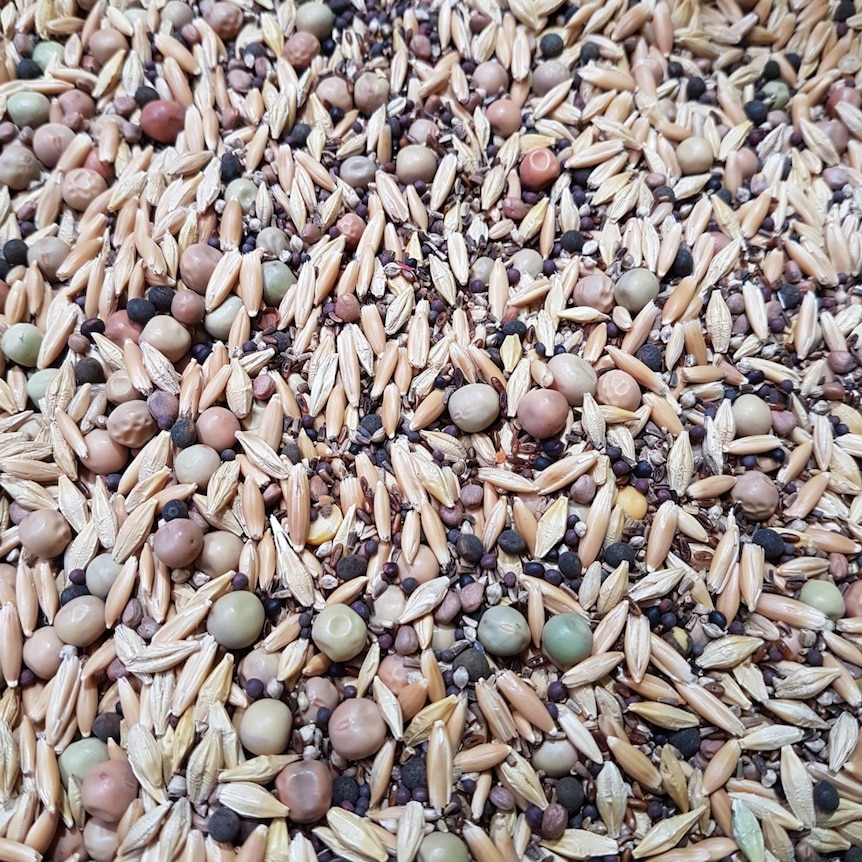 A range of seeds.
