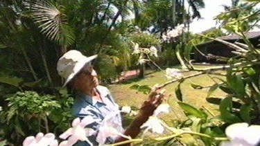 Coastal Garden