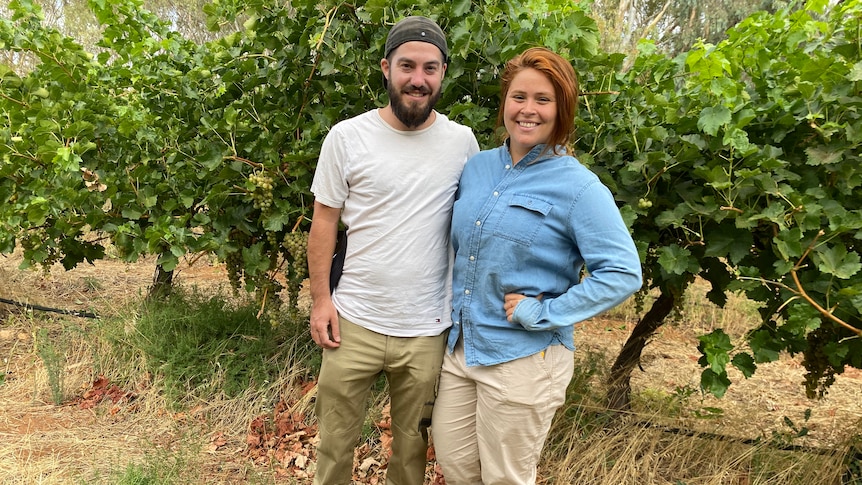 A man and a woman stand with their arms around each other, smiling in a vineyard.