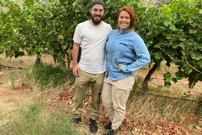 A man and a woman stand with their arms around each other, smiling in a vineyard.