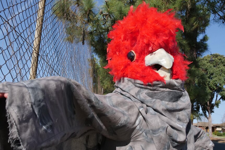 A person dressed as a Gang-gang cockatoo resting on a tennis fence