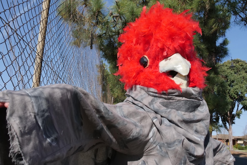 A person dressed as a Gang-gang cockatoo resting on a tennis fence