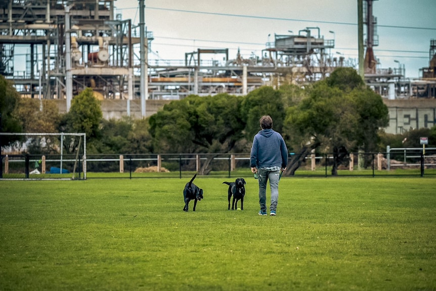 A man walking with his two dogs.
