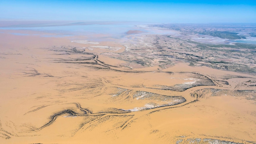 Brown water from the Lake Eyre Basin flowing into Kati-Thanda Lake Eyre