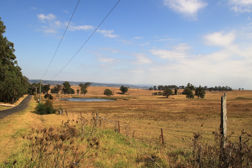 wide shot of rural landscape