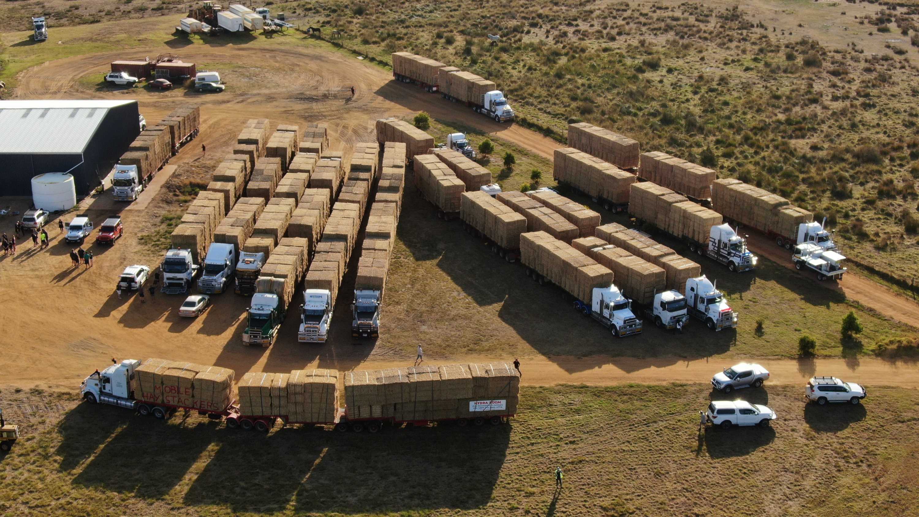 Drought Stricken Wa Pastoralists Given Much Needed Reprieve With Donated Hay Abc News