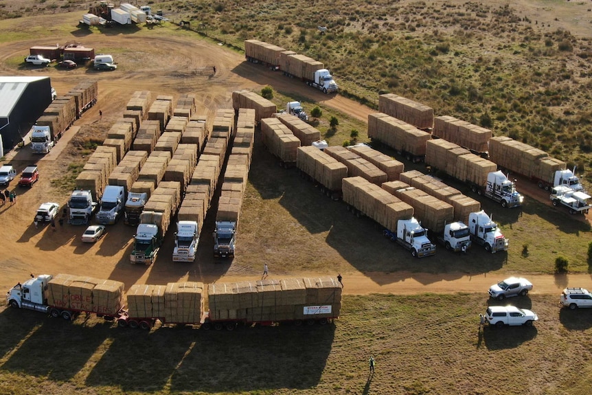 Aerial shot of all the trucks with hay