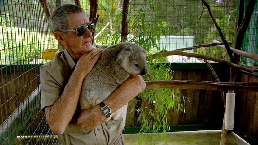 Steve Irwin's father, Bob Irwin, holds a koala at Australia Zoo