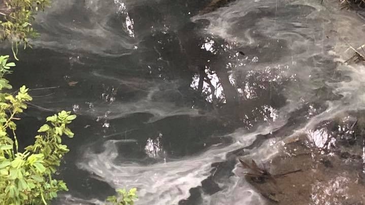 Grey clouds of pollution are seen in a river creek bed surrounded by green plants