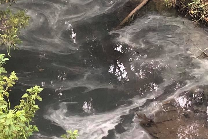 Grey clouds of pollution are seen in a river creek bed surrounded by green plants