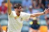 A man in cricket whites shouts with both his arms above his head.