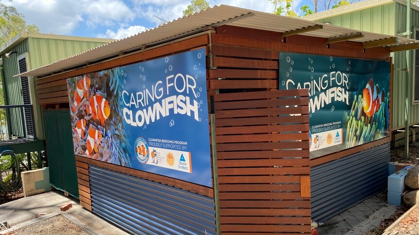 Small shed with a sign that says 'Caring for Clownfish'