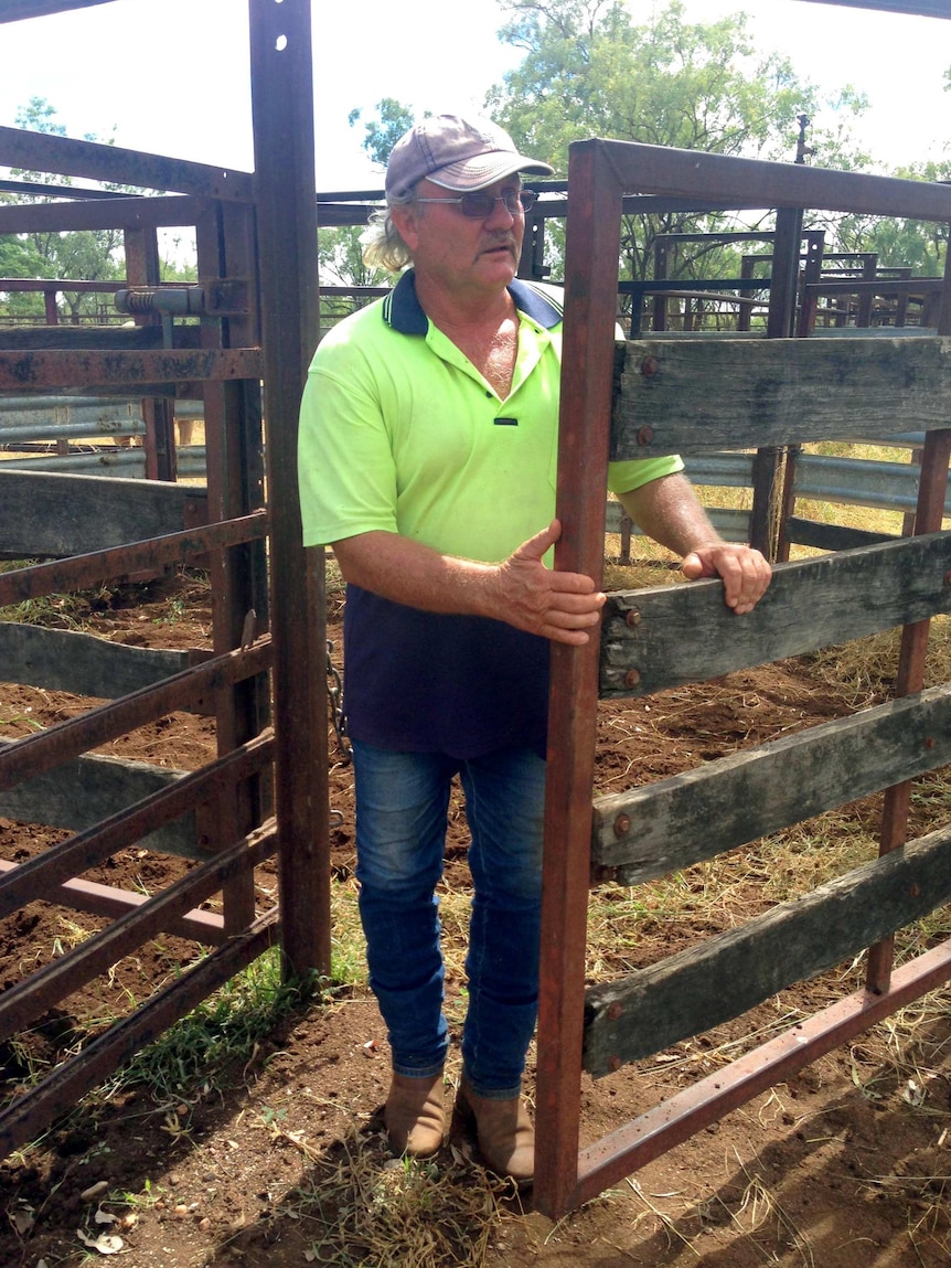 John Bethel works on his 90,000 hectare cattle station, Huonfels Station.