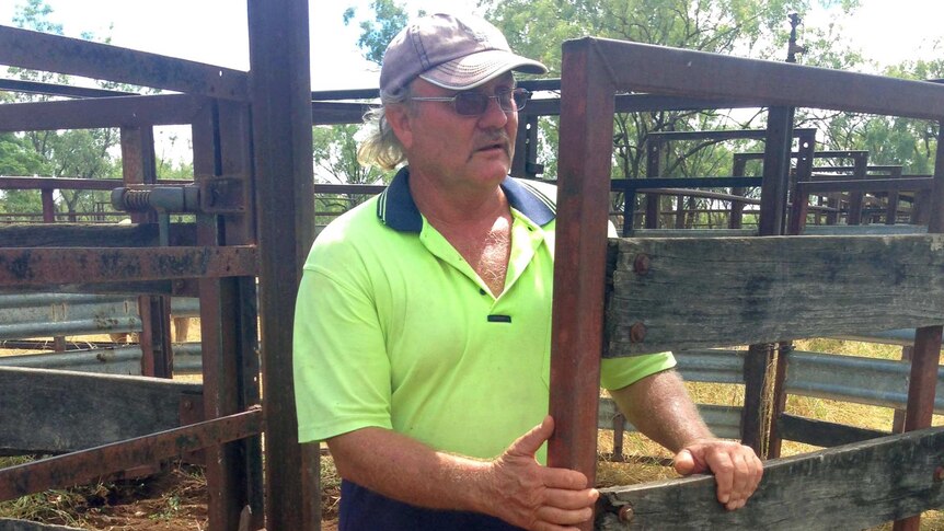 John Bethel works on his 90,000 hectare cattle station, Huonfels Station.