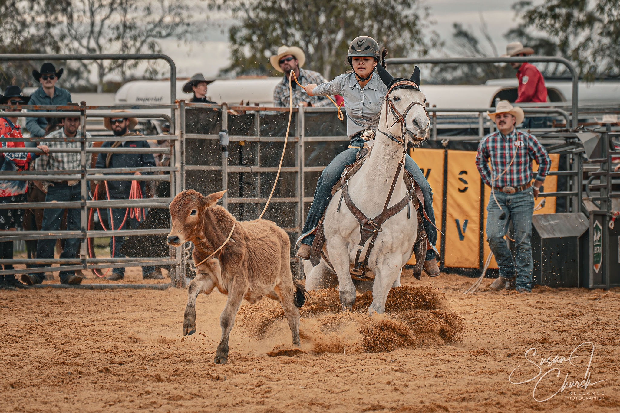 Uma jovem a cavalo tenta amarrar uma vaca