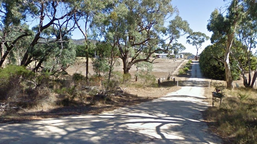 a driveway leads to a rural property with gum trees on either side