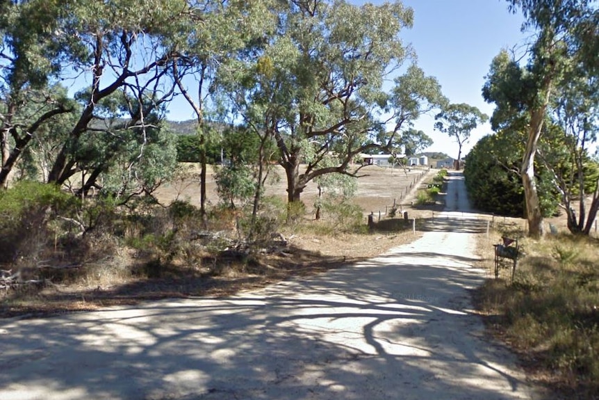 a driveway leads to a rural property with gum trees on either side