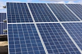 The ACT Government estimates the solar farm will save more than 500,000 in carbon emissions over its life time.