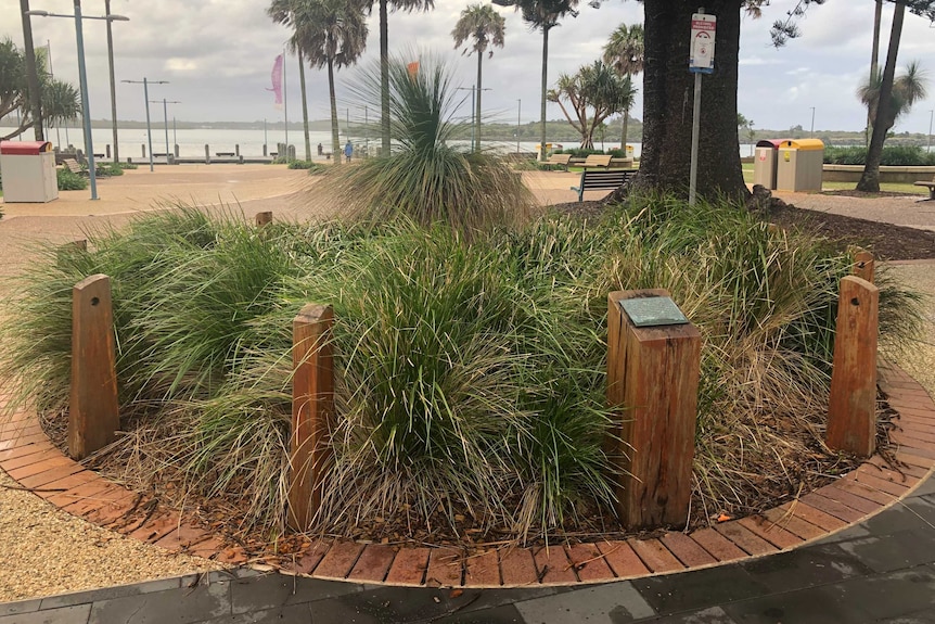 The small Aboriginal burial site monument is on Port Macquarie's Town Green adjacent to the Edmund Barton statue