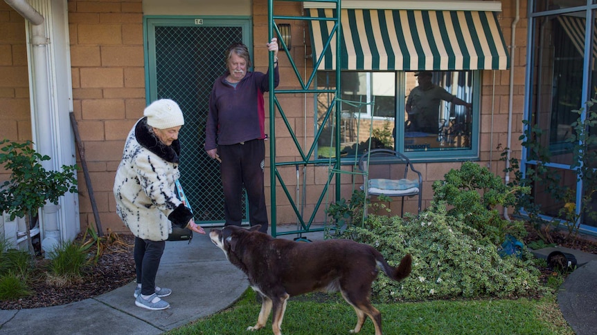 Bev Howlett gives a treat to the neighbour's dog.