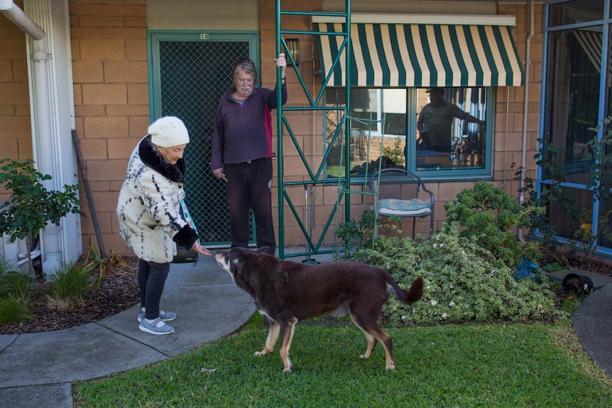 Bev Howlett gives a treat to the neighbour's dog.