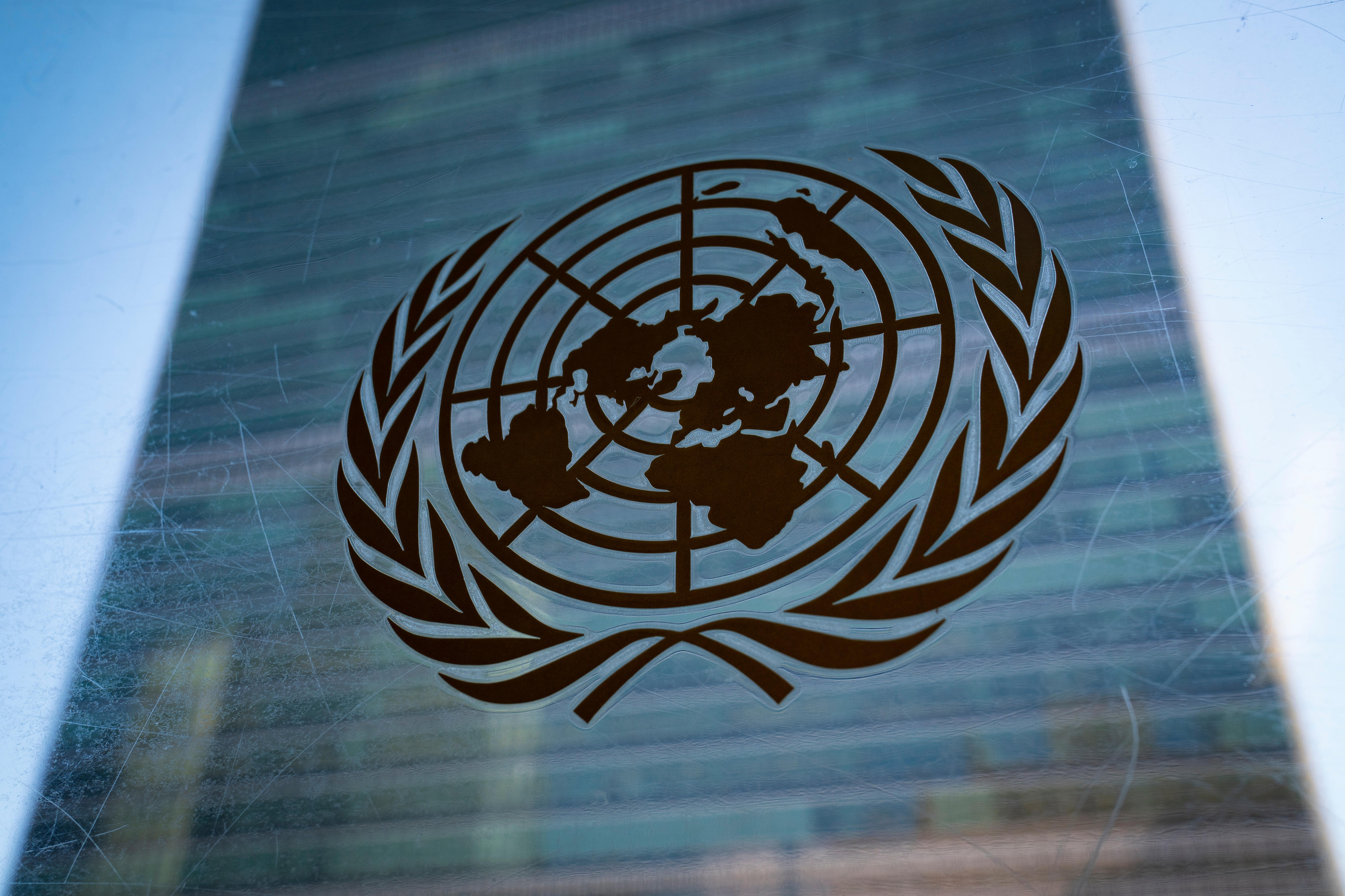 Portugal and Austria defeat Germany for UN Security Council seats