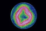 map of polar vortex