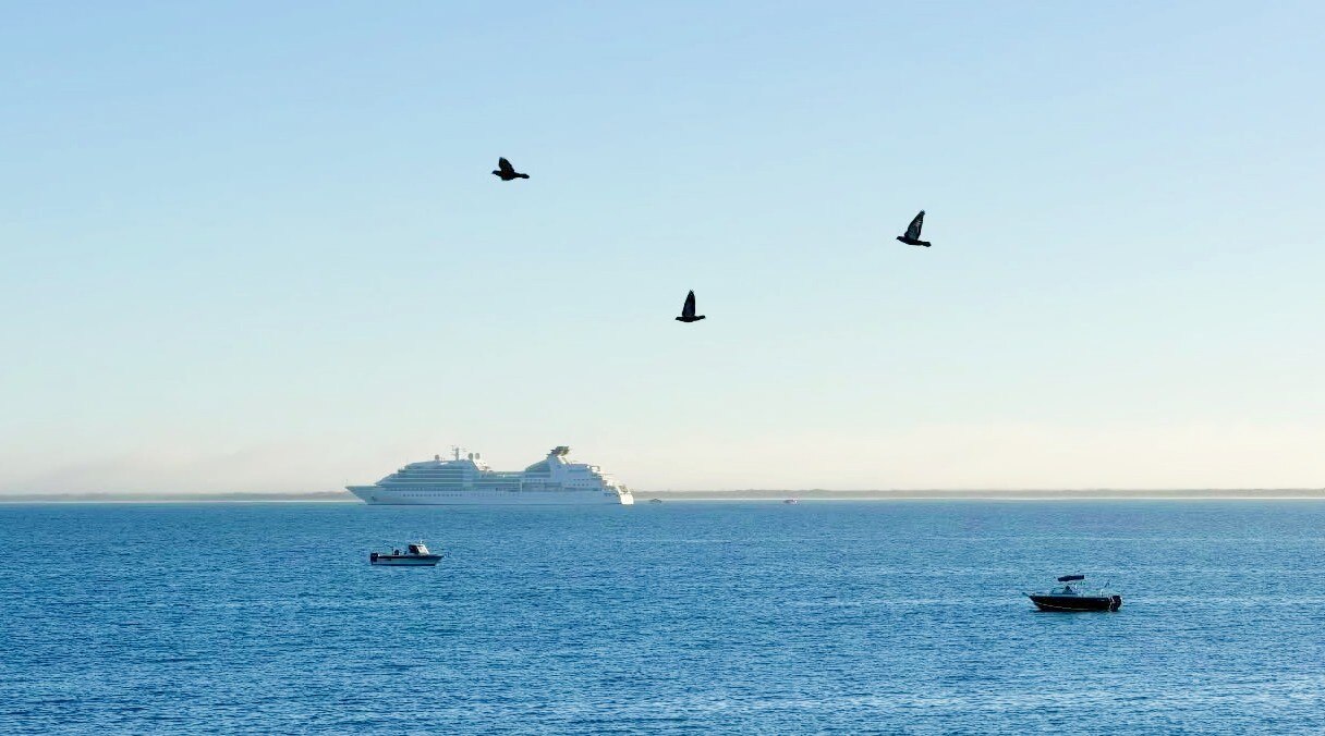 A cruise ship out to sea with birds flying 