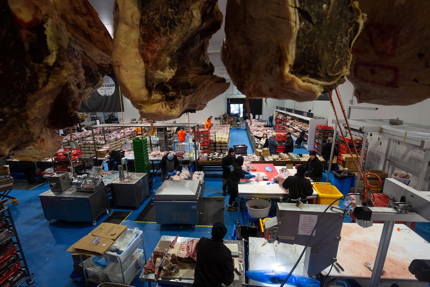 An abundance of workers in a giant cold room chop up meat. Customers can be seen in the background purchasing cuts of meat.