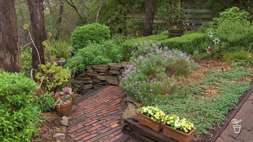 Garden with brick path and garden beds with shrubs and groundcovers