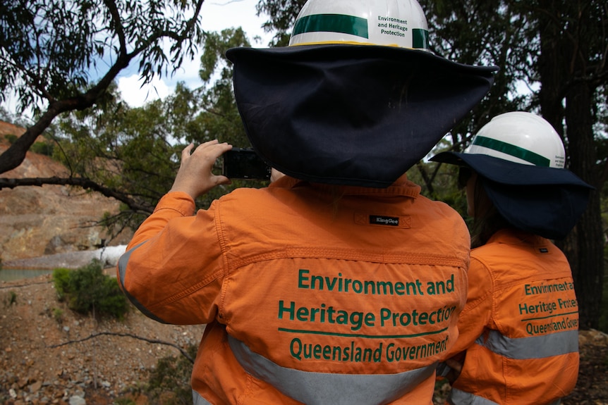 Department of Environment and Science workers