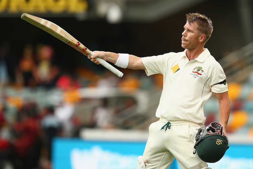 David Warner salutes the Gabba crowd