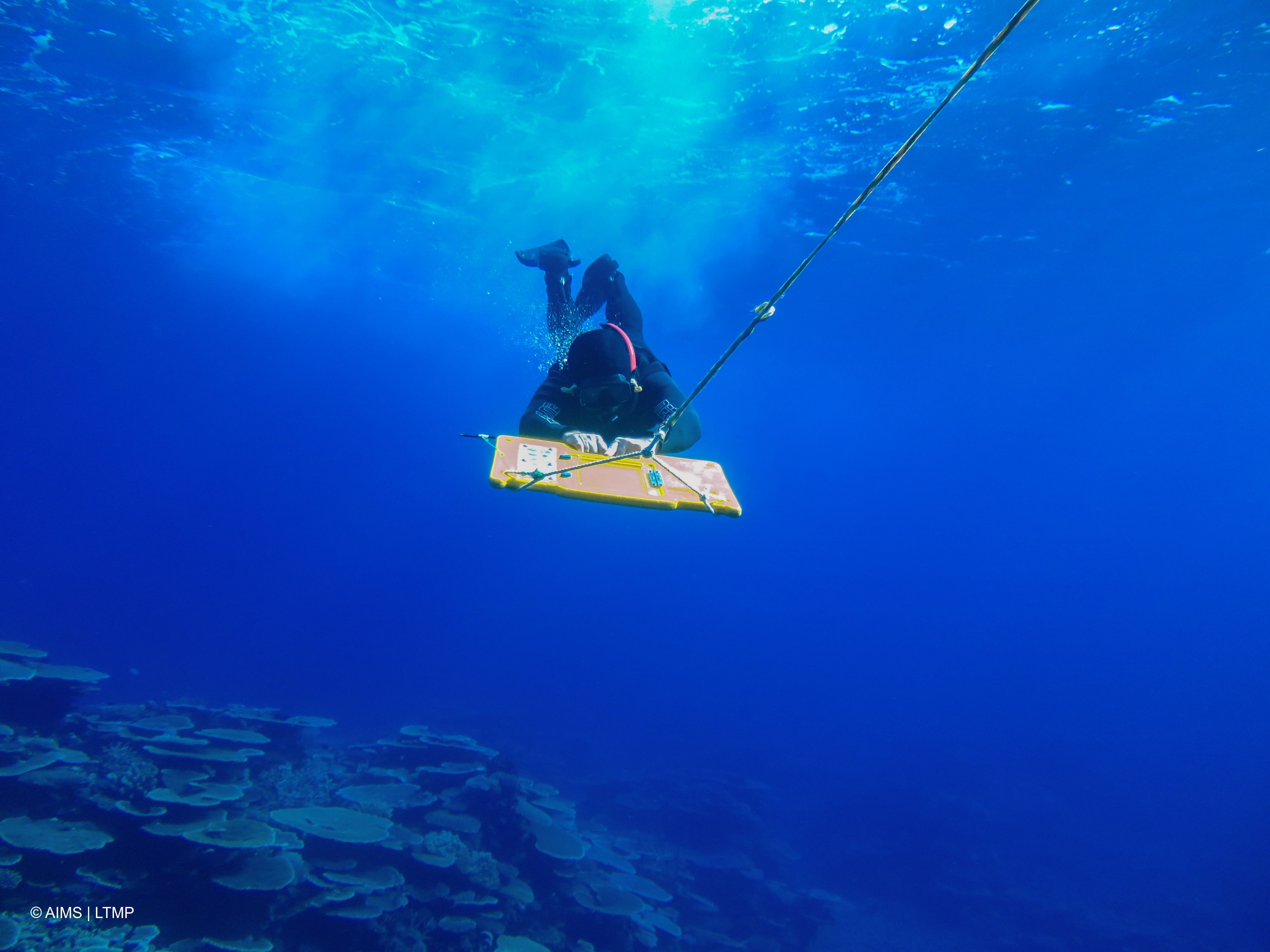 The researchers 'flying' and getting barrels on the reef for science