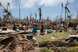 Structures and trees pulverised by Typhoon Maysak