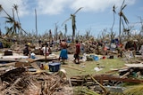 Structures and trees pulverised by Typhoon Maysak
