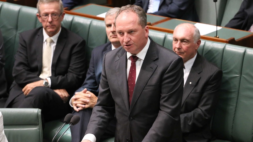 Barnaby Joyce speaks in Parliament.