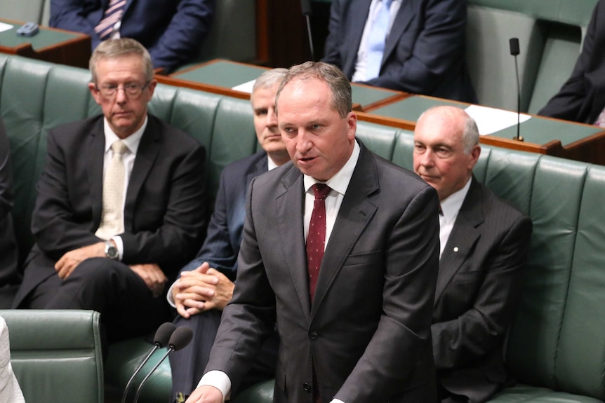 Barnaby Joyce speaks in Parliament.