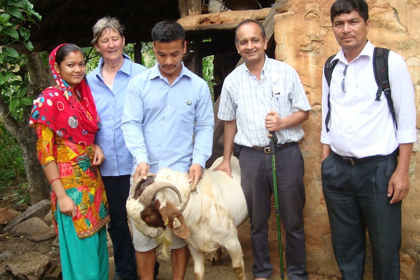 Nepalese famers stands next to their Australian-bred Boer goat.