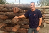 Tim Marsden stands beside a loose construction of logs.