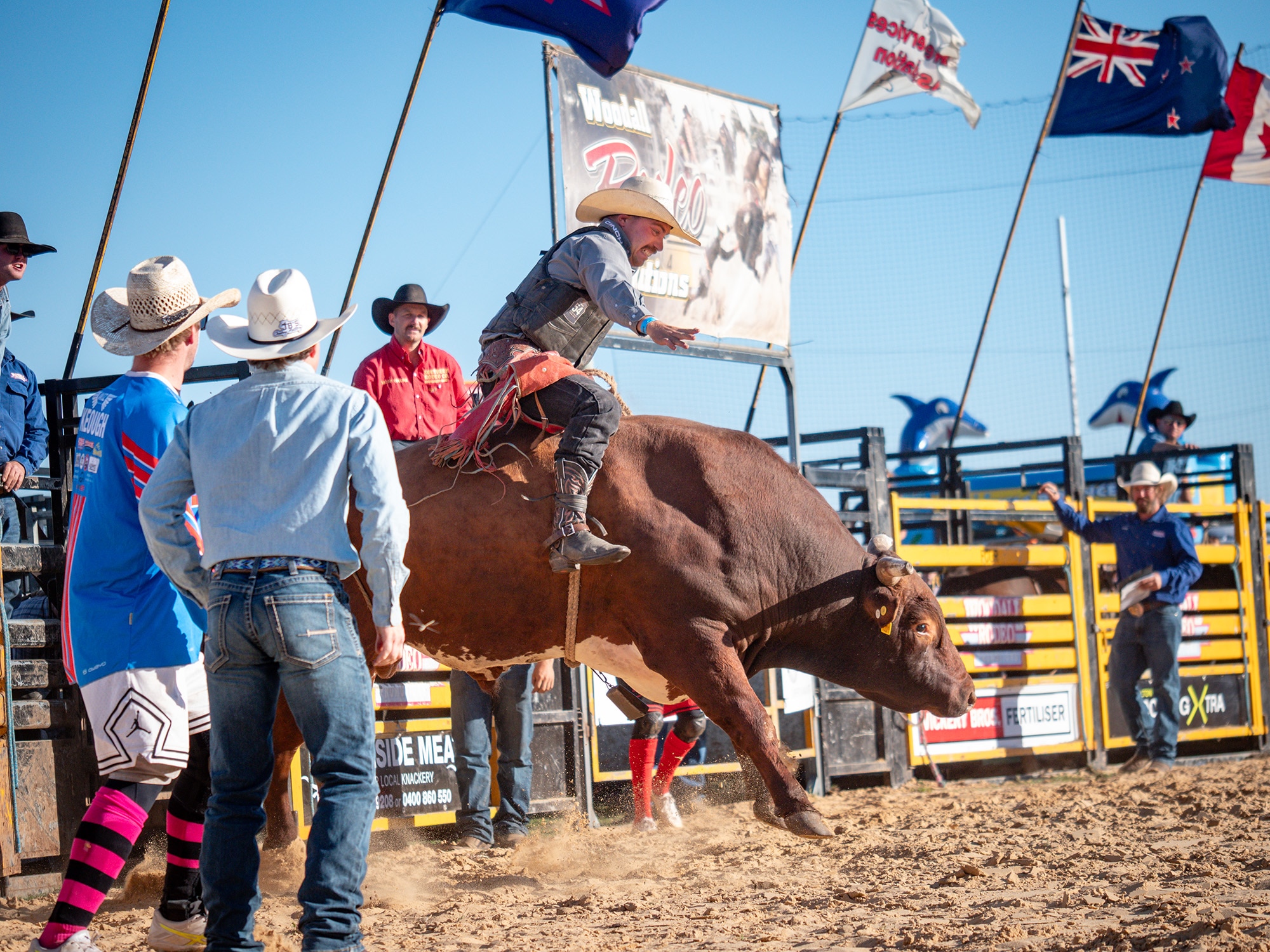 A bullrider grits his teeth upon leaving the chutes in Dartmoor. 