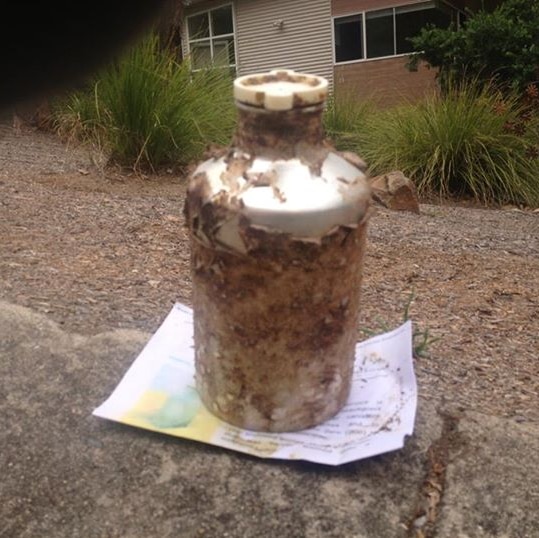 A canister containing aluminium phosphide which was found at Batemans Bay earlier this year.
